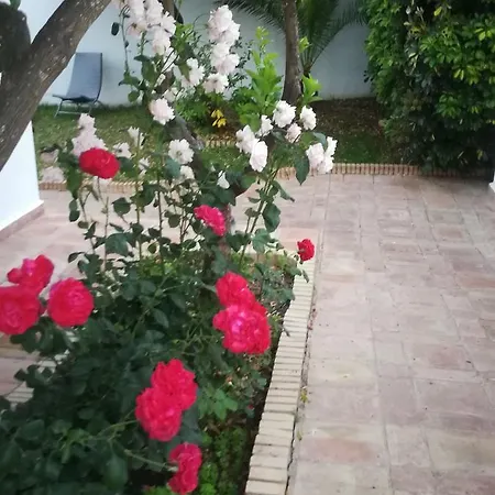 Frasquita